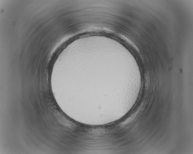 X0000062911021200602101827