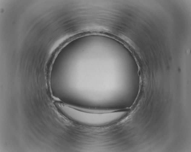 X0000062911022200602101827