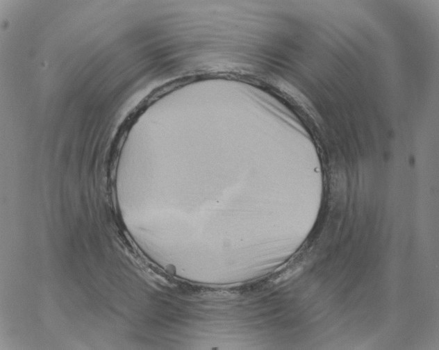 X0000062911023200602101827