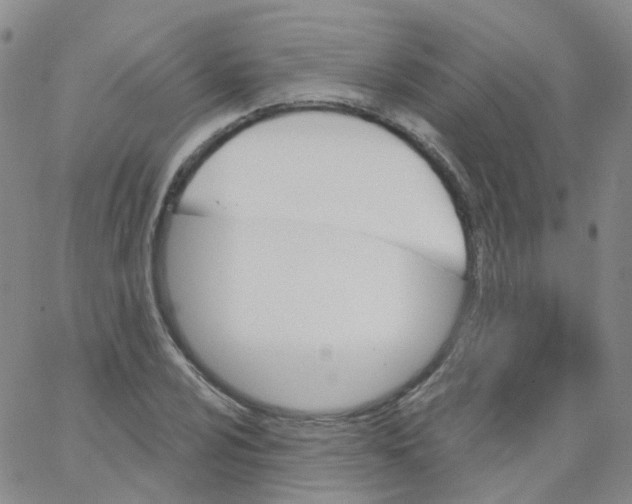 X0000062911024200602101827