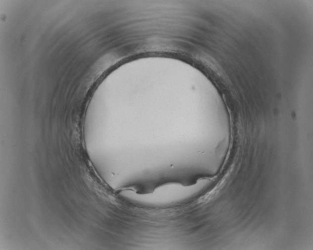 X0000062911025200602101827