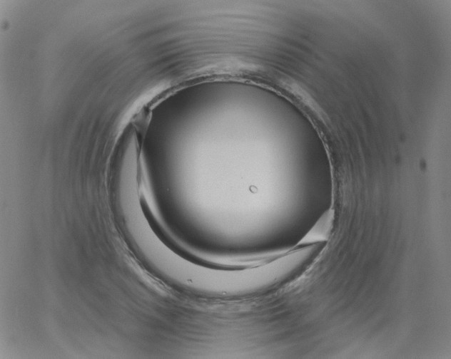 X0000062911026200602101827