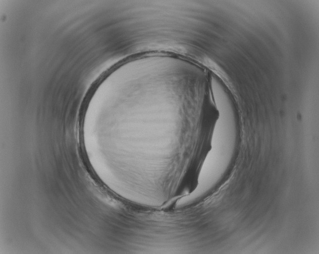 X0000062911028200602101827