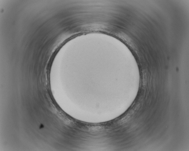 X0000062911031200602101827