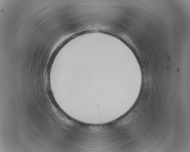 X0000062911032200602101827