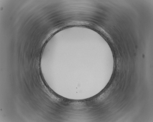 X0000062911033200602101827