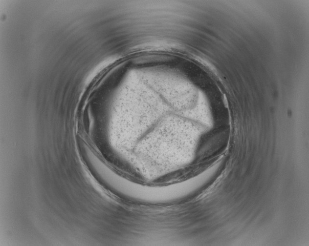 X0000062911034200602101827