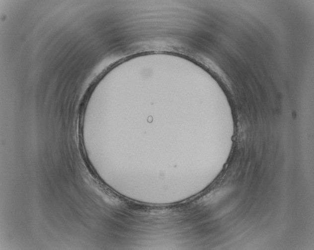 X0000062911035200602101827