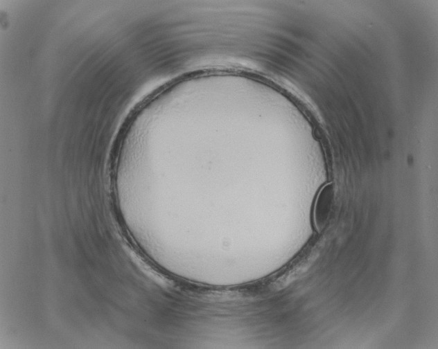 X0000062911037200602101827