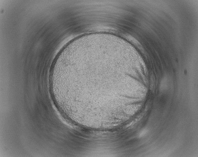 X0000062911039200602101827