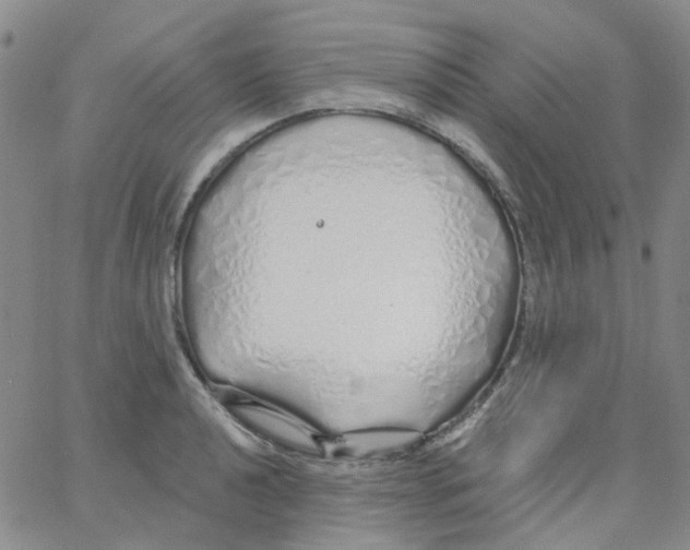 X0000062911040200602101827