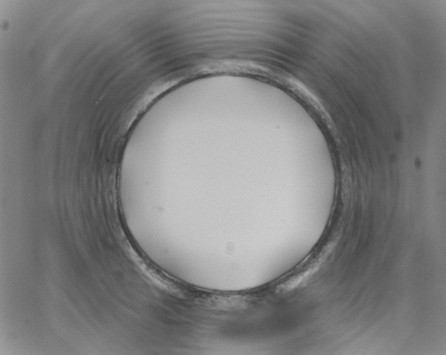 X0000062911041200602101827