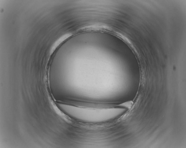 X0000062911042200602101827