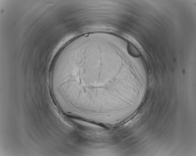 X0000062911043200602101827