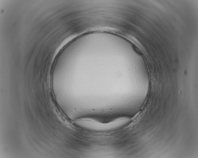 X0000062911044200602101827