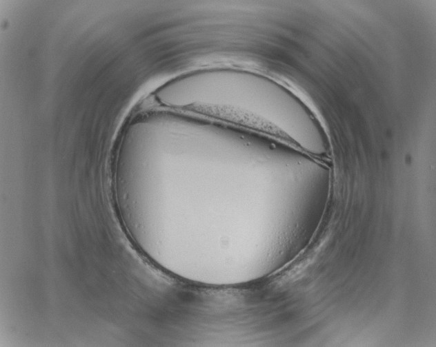 X0000062911045200602101827