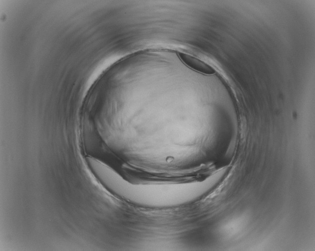 X0000062911048200602101827