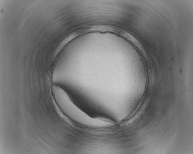 X0000062911049200602101827