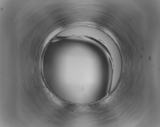 X0000062911050200602101827