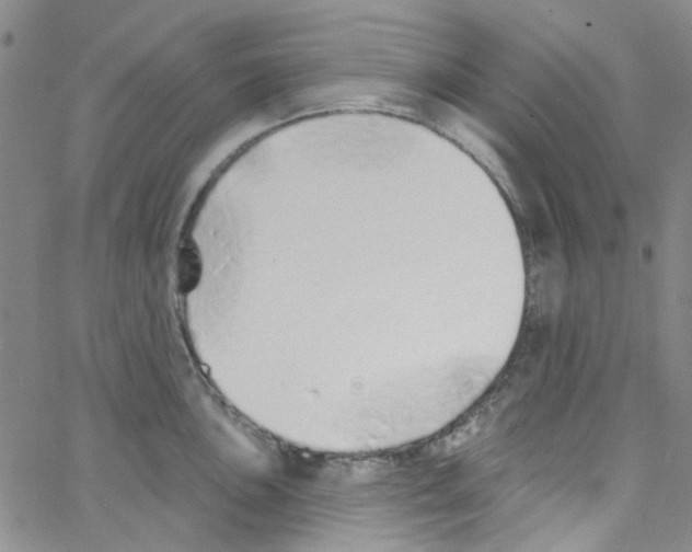 X0000062911051200602101827