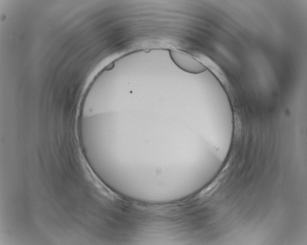 X0000062911052200602101827