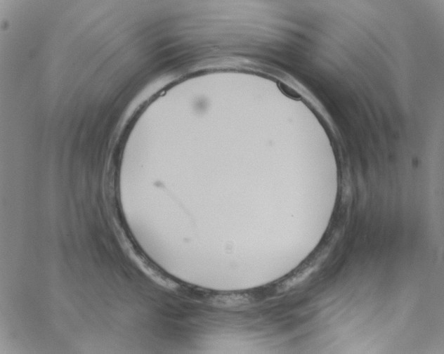 X0000062911053200602101827