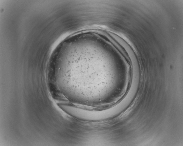 X0000062911054200602101827