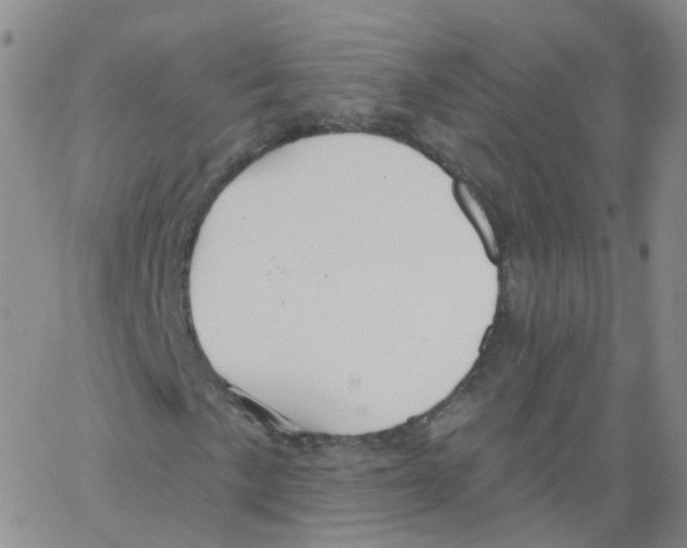 X0000062911057200602101826