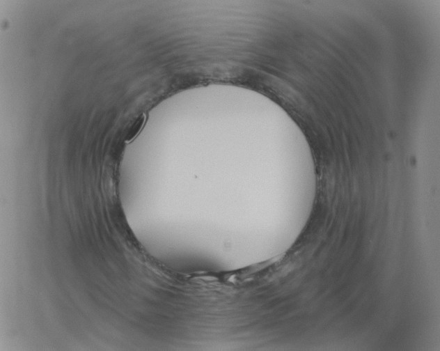 X0000062911058200602101826