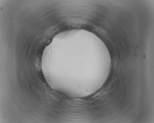 X0000062911060200602101826