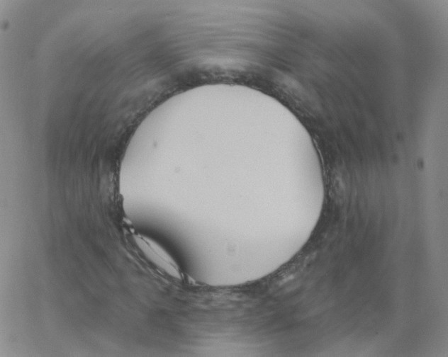 X0000062911061200602101826