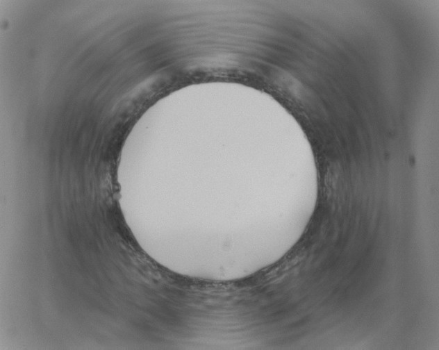 X0000062911062200602101826