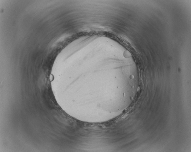 X0000062911063200602101826