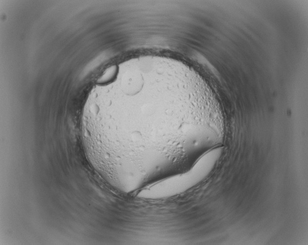 X0000062911064200602101826