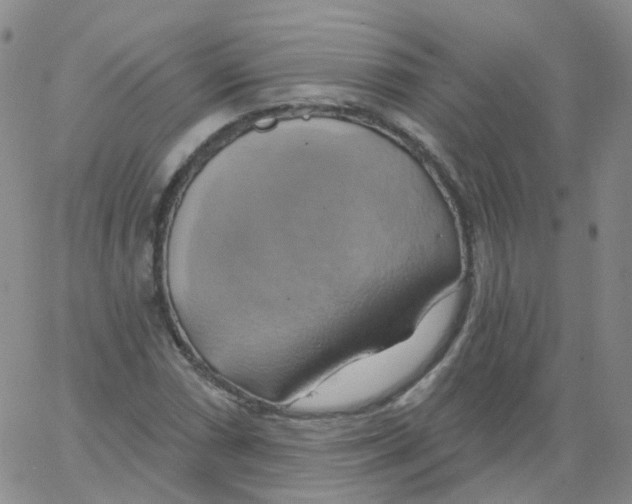 X0000062911066200602101826