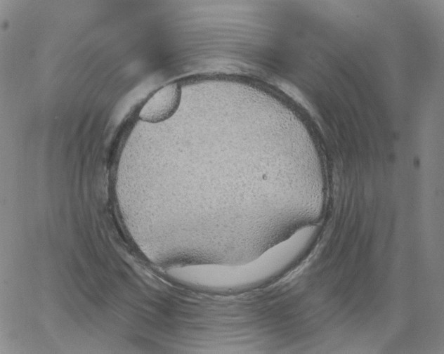 X0000062911067200602101826