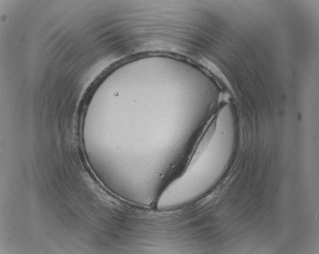 X0000062911068200602101826