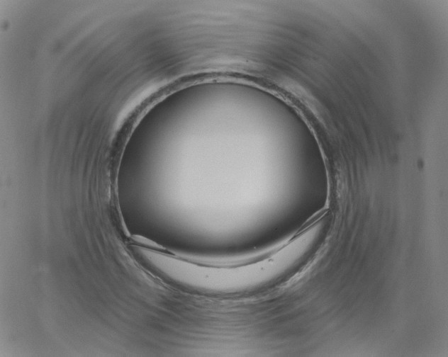 X0000062911069200602101826