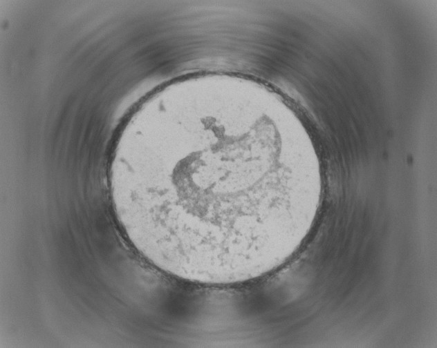 X0000062911070200602101826