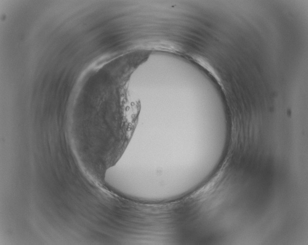 X0000062911071200602101826