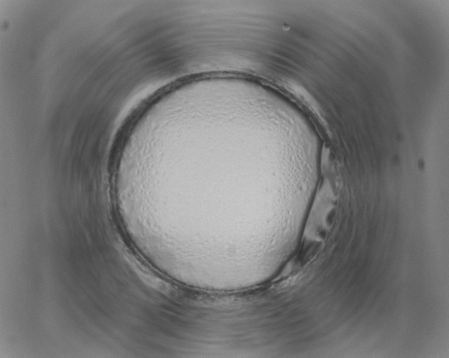 X0000062911072200602101826