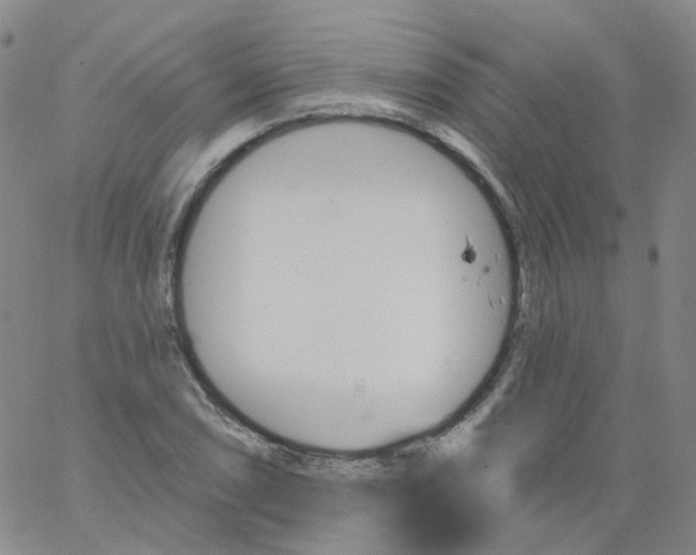 X0000062911074200602101826