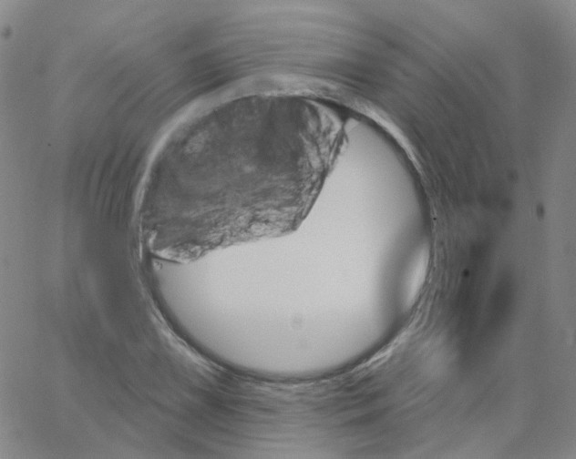 X0000062911075200602101826