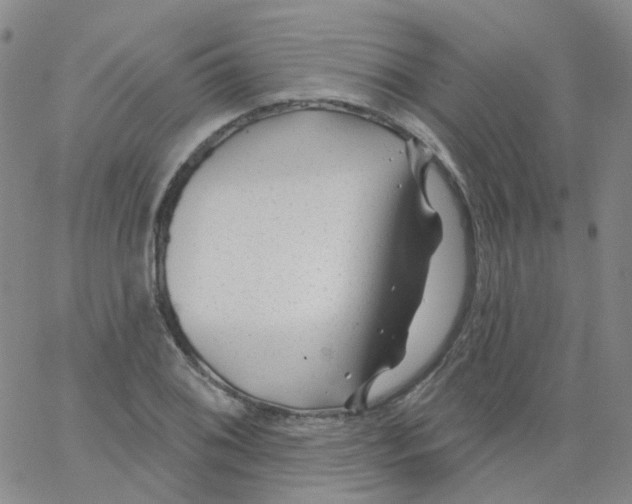 X0000062911076200602101826