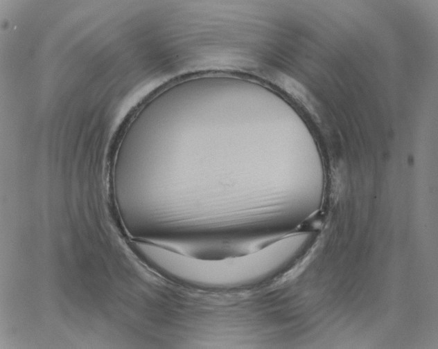 X0000062911077200602101826