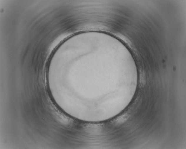 X0000062911078200602101826