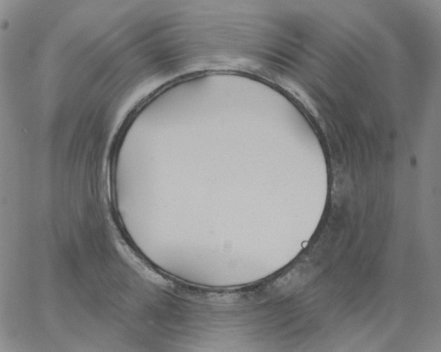 X0000062911080200602101826