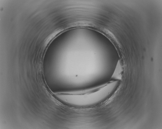 X0000062911081200602101826