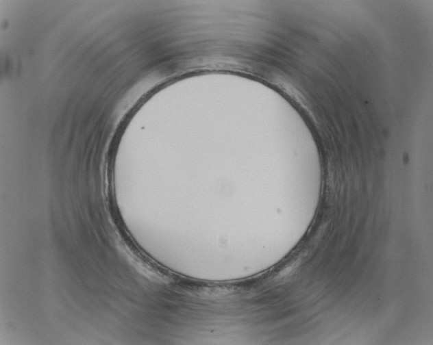 X0000062911082200602101826