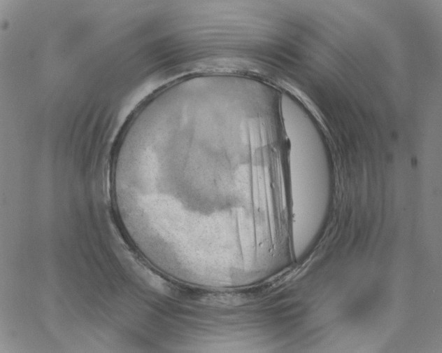 X0000062911083200602101826